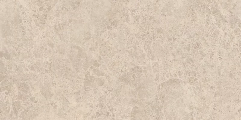 ERA DELICATE TAUPE 60X120_02