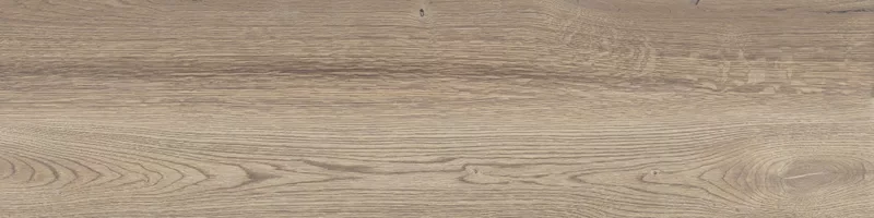 POETRY WOOD OAK 30X120_14