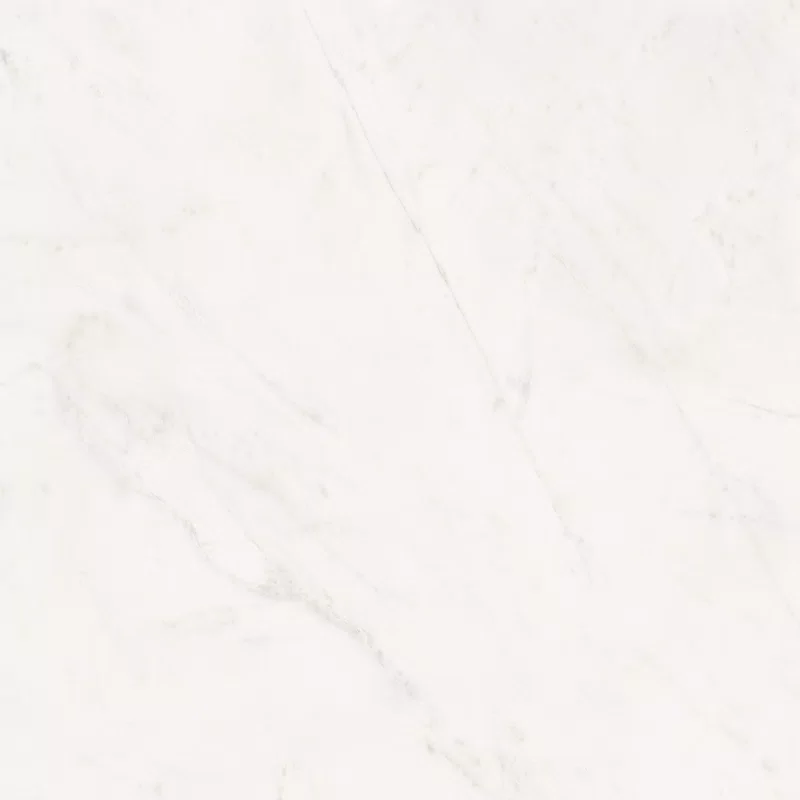 SENSI WHITE RHINO 120X120_07