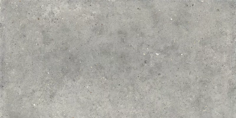 ANIMA GRIGIO 60X120_05
