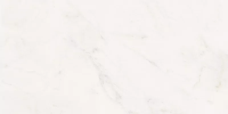 SENSI WHITE RHINO 60X120_10