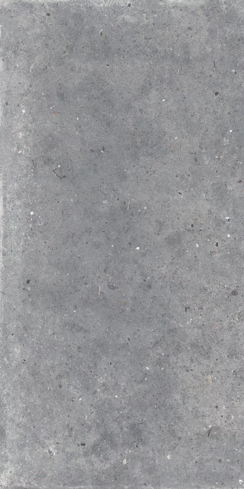 OUT.20 POETRY STONE PIRENEI GREY 60x120_02