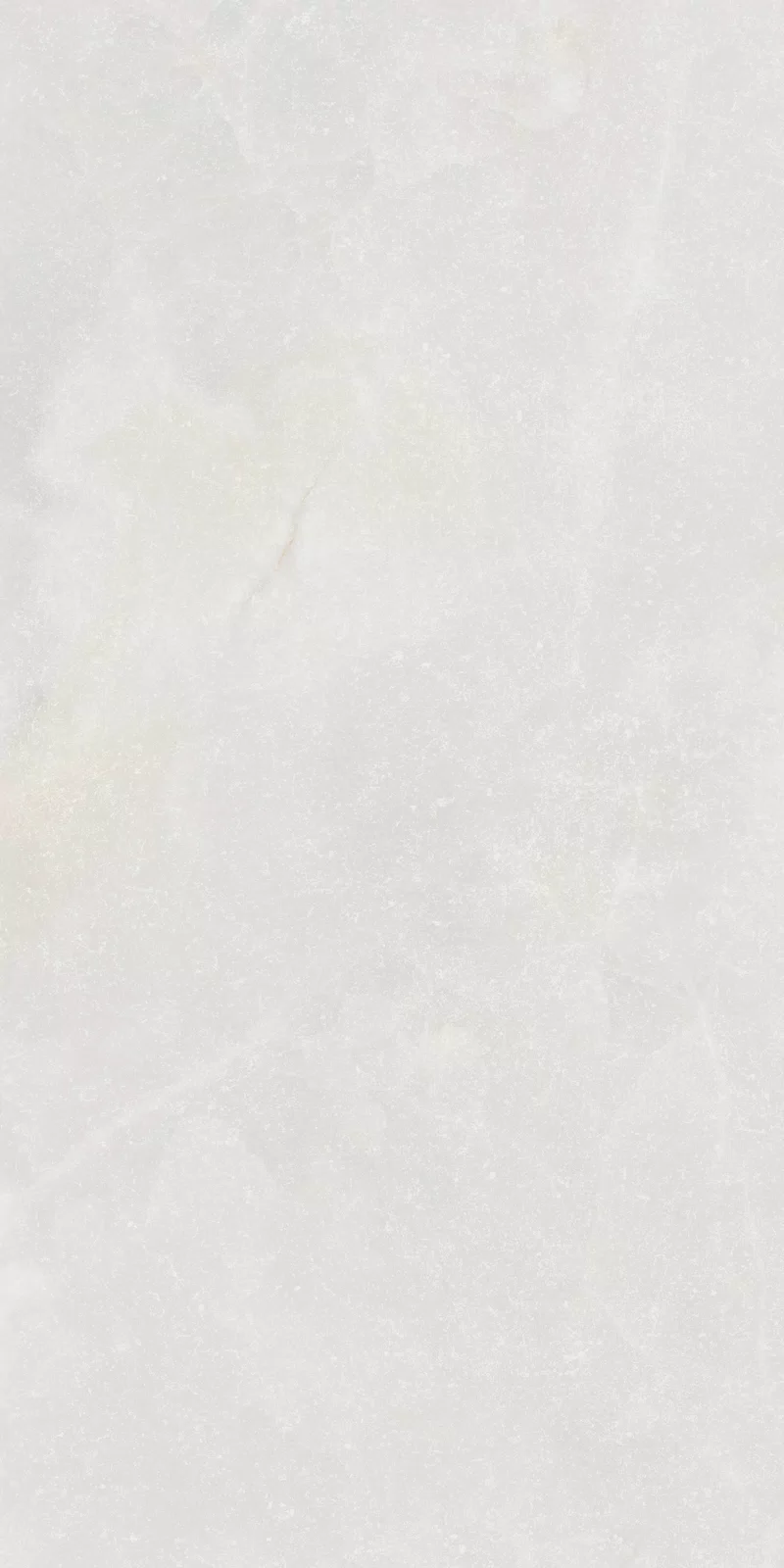 ETEREA ICE RAW 60x120 NAT_11