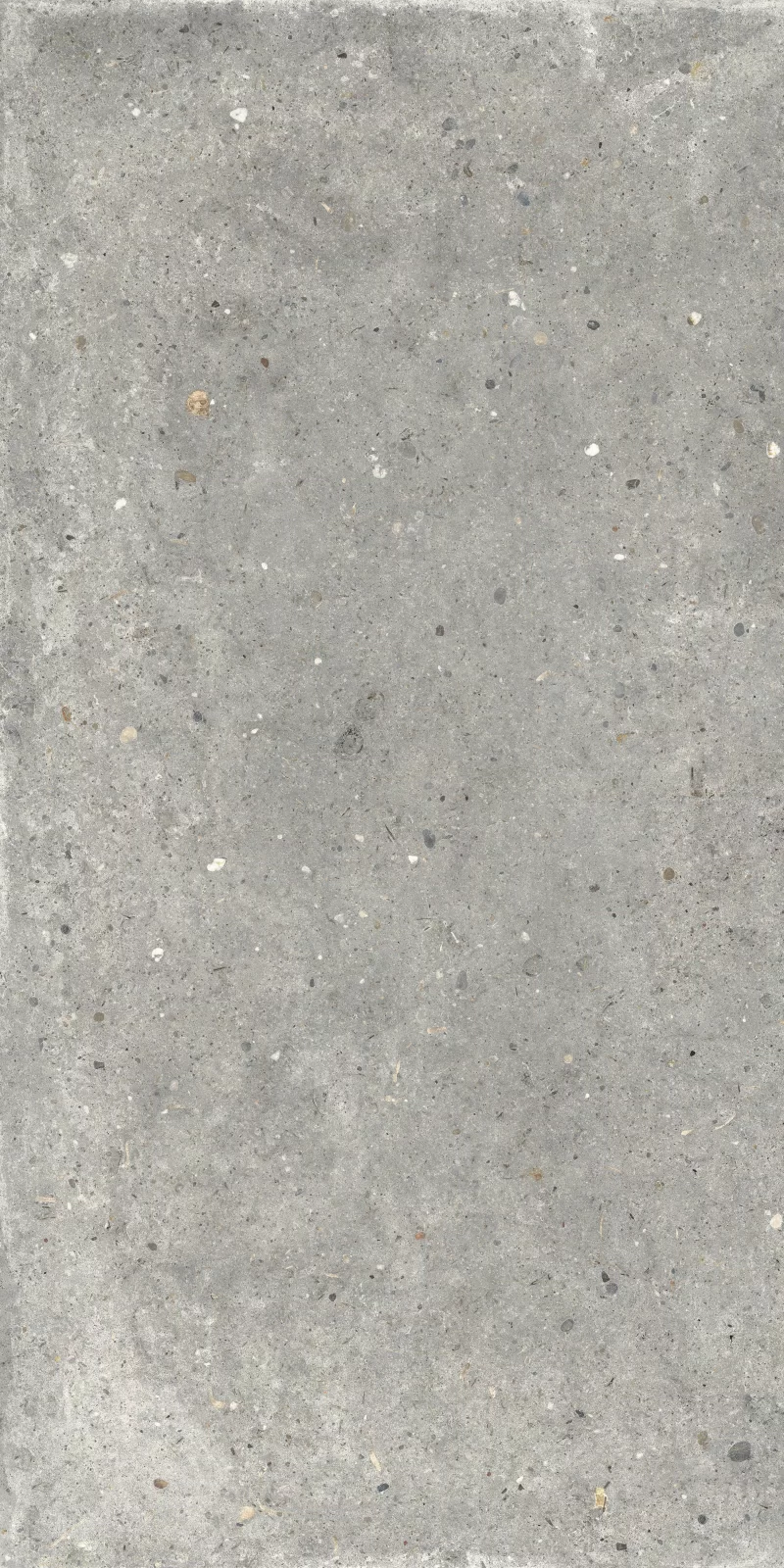 ANIMA GRIGIO 60X120_07