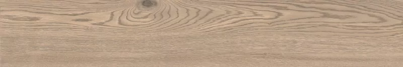 POETRY WOOD ECRU 20X120_21