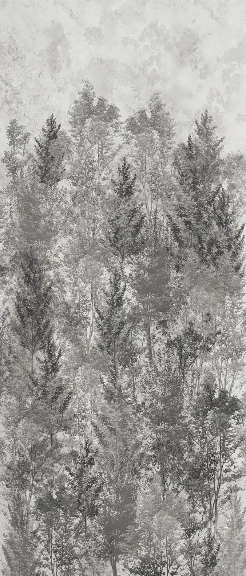120X280 · Naturale