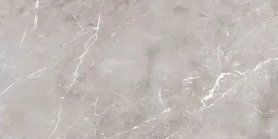 Piastrella Grigio Epoque 2.0, effetto marmo, 60x120, finitura Naturale.