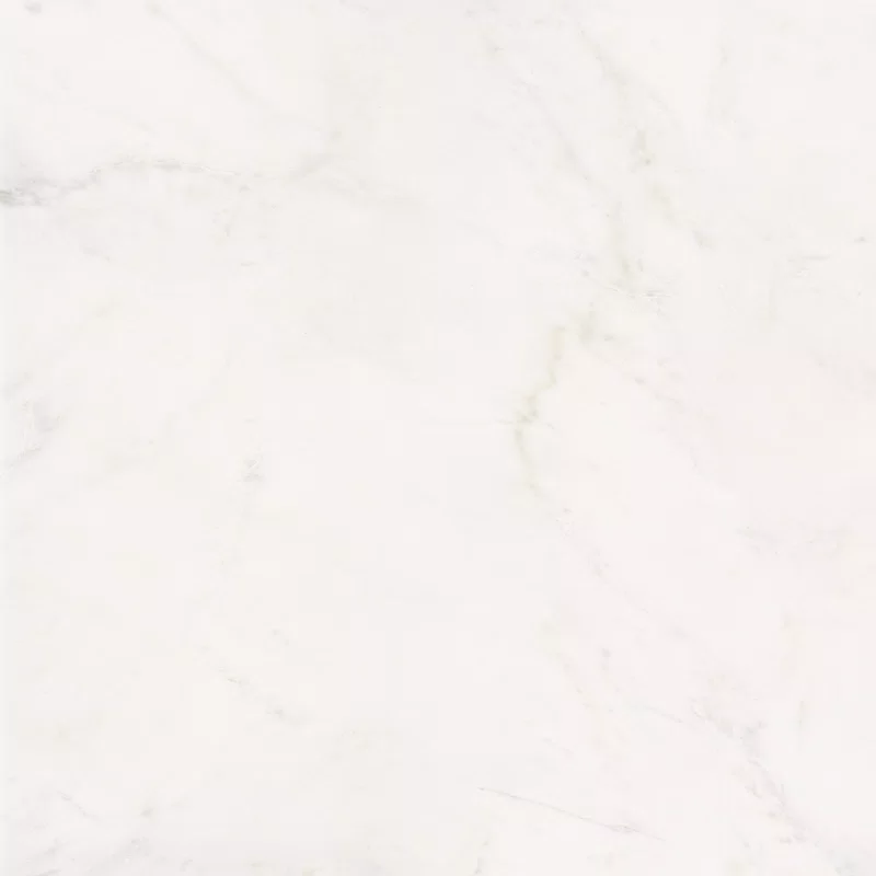 SENSI WHITE RHINO 120X120_03