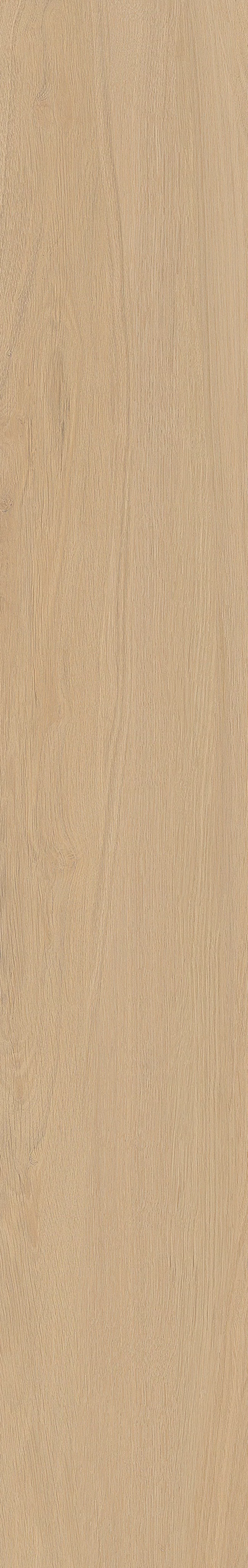 TABULAE REFINED MIELE 23,4X148_19
