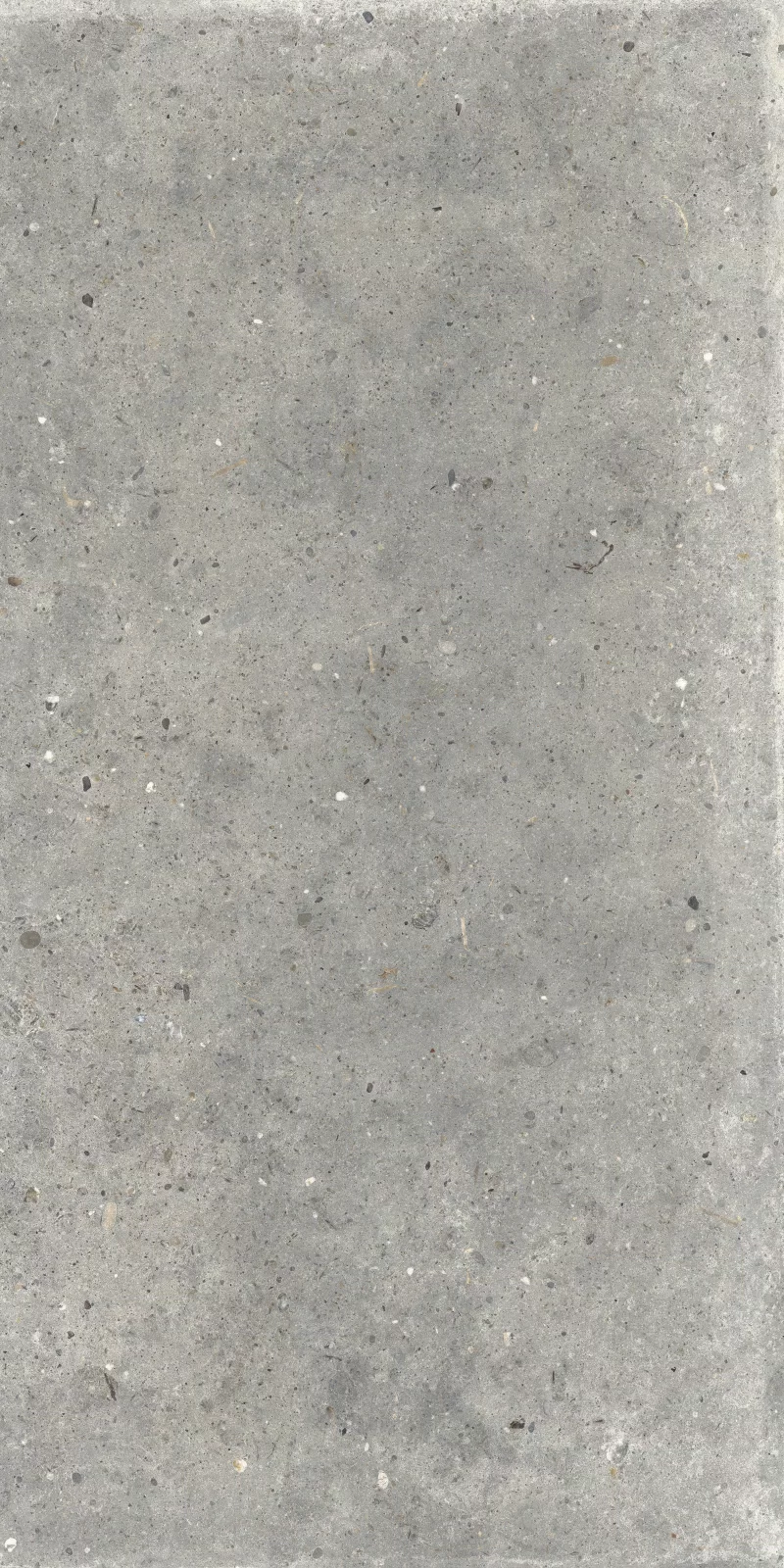 ANIMA GRIGIO 60X120_08