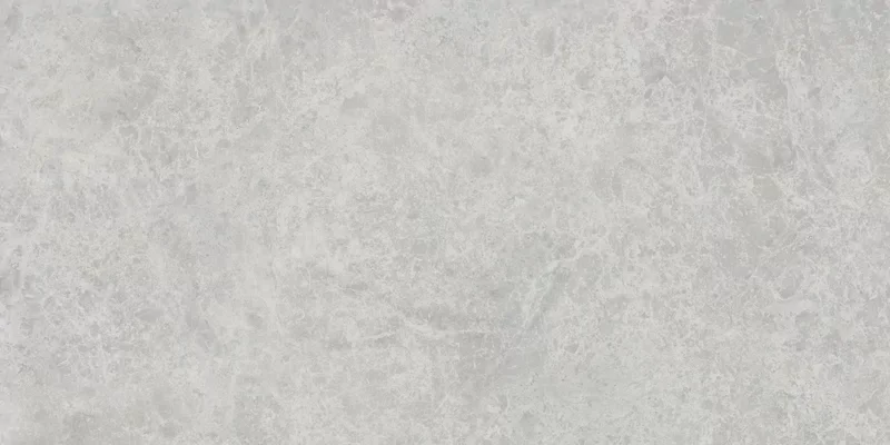 ERA DELICATE ASH 60X120_10