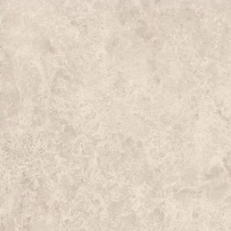 ERA DELICATE BEIGE 60X60_02