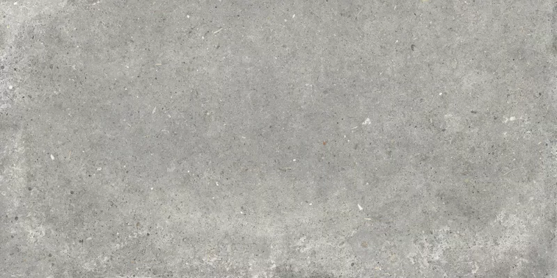 ANIMA GRIGIO 60X120_04