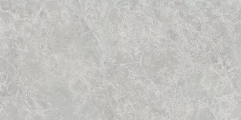 ERA DELICATE ASH 30X60_12