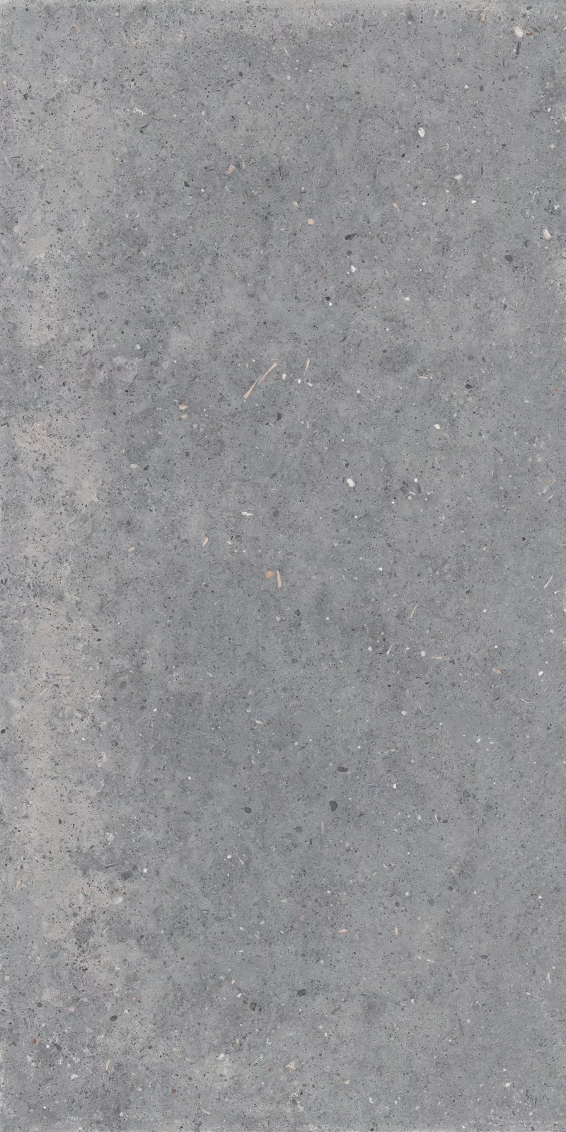 OUT.20 POETRY STONE PIRENEI GREY 60x120_06