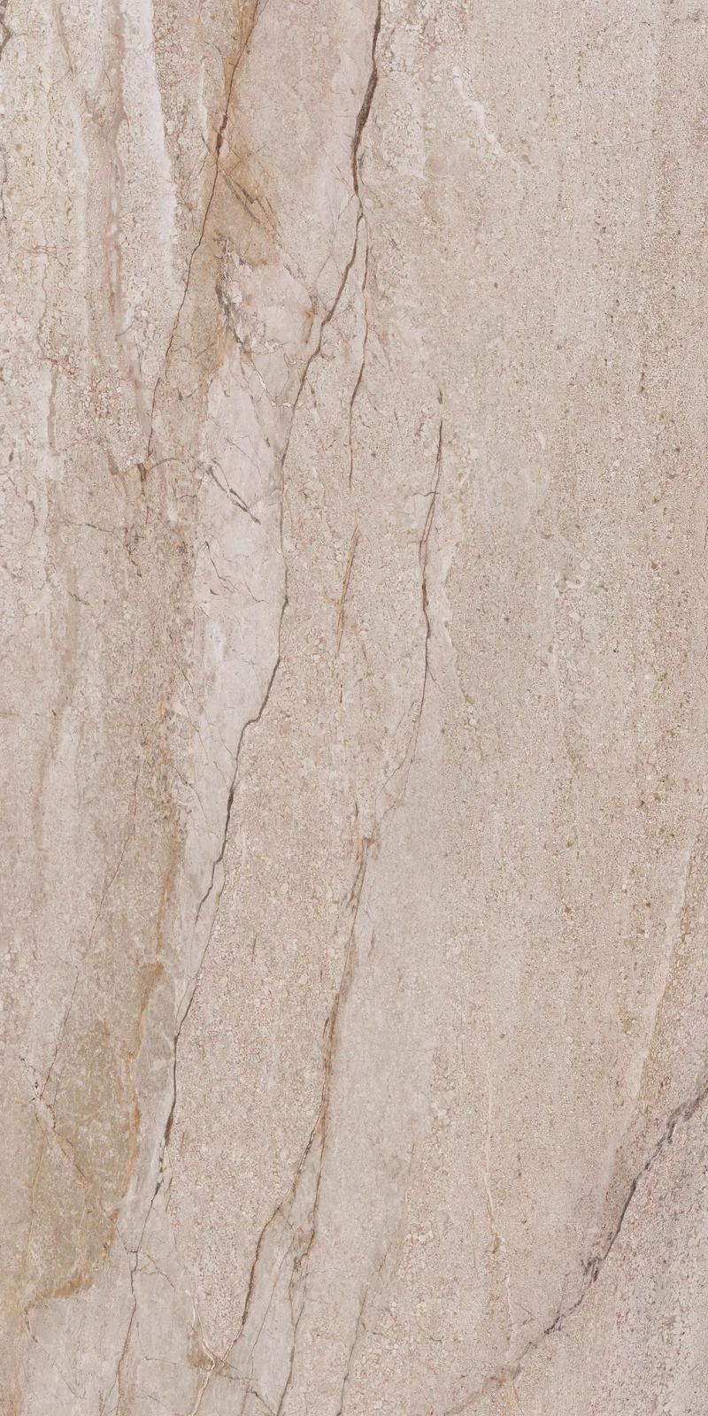 NOBILE SAND FLOWER 60X120_6