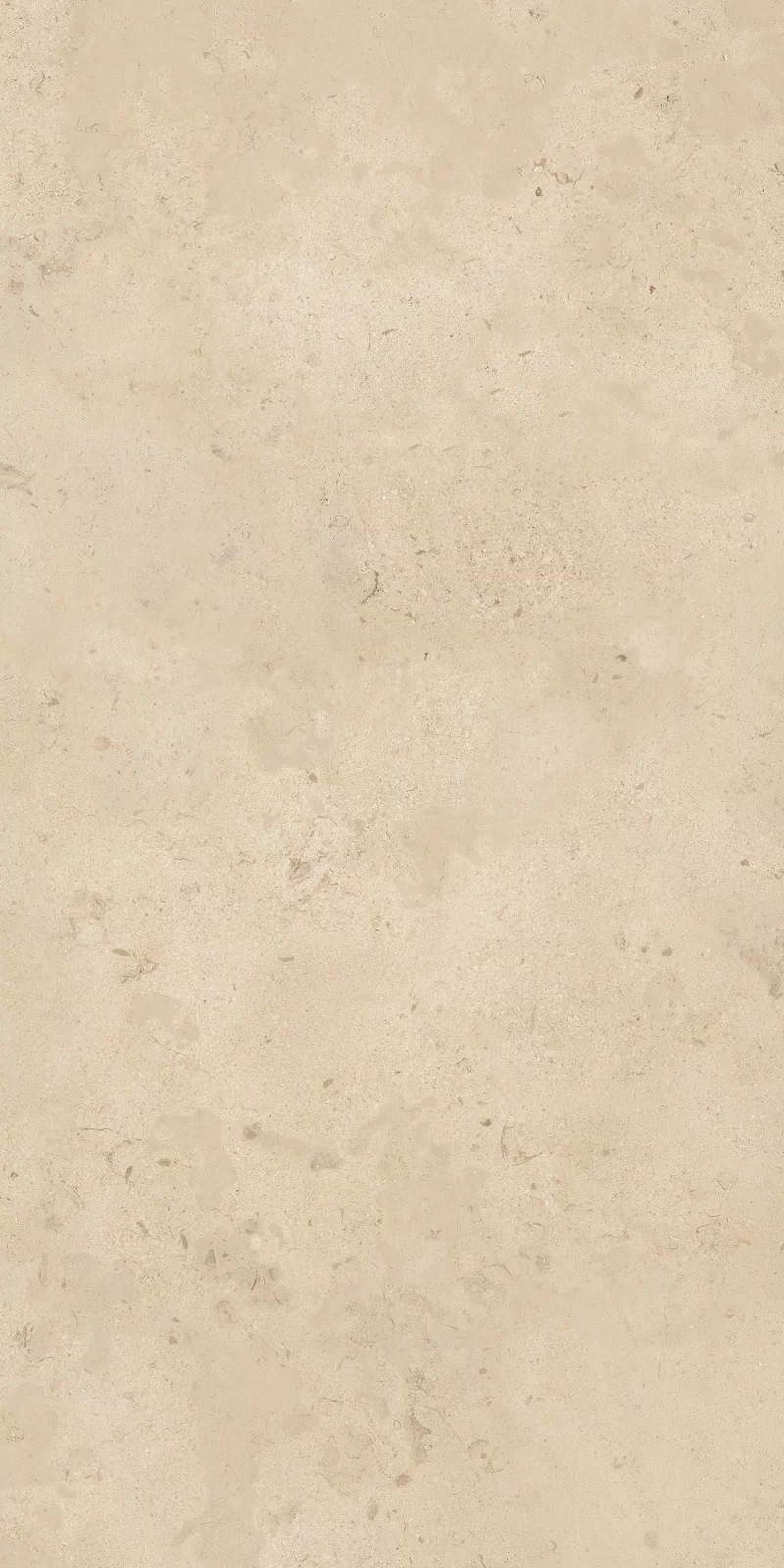 X20 CAMARGUE BEIGE 60X120_18