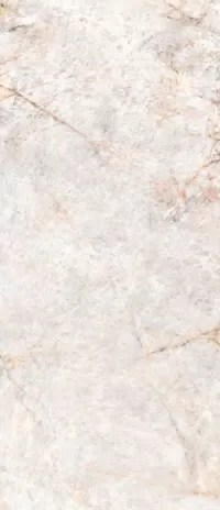 Carreau Blanc Sensi Gems, effet marbre, 120x280, finition Soft.