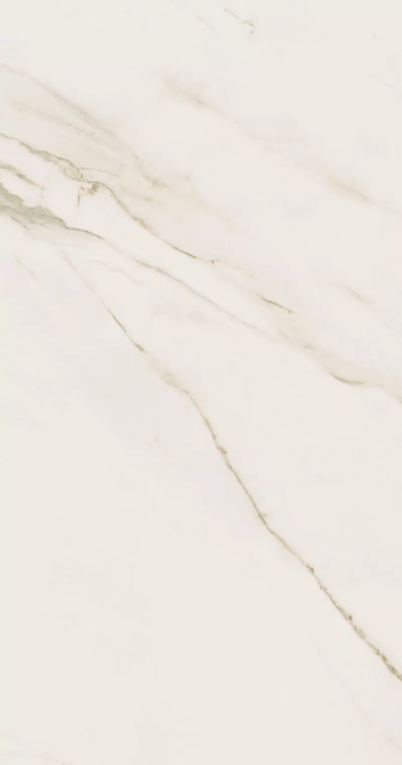 SUPREME EVO CALACATTA EXTRA 60X120_06