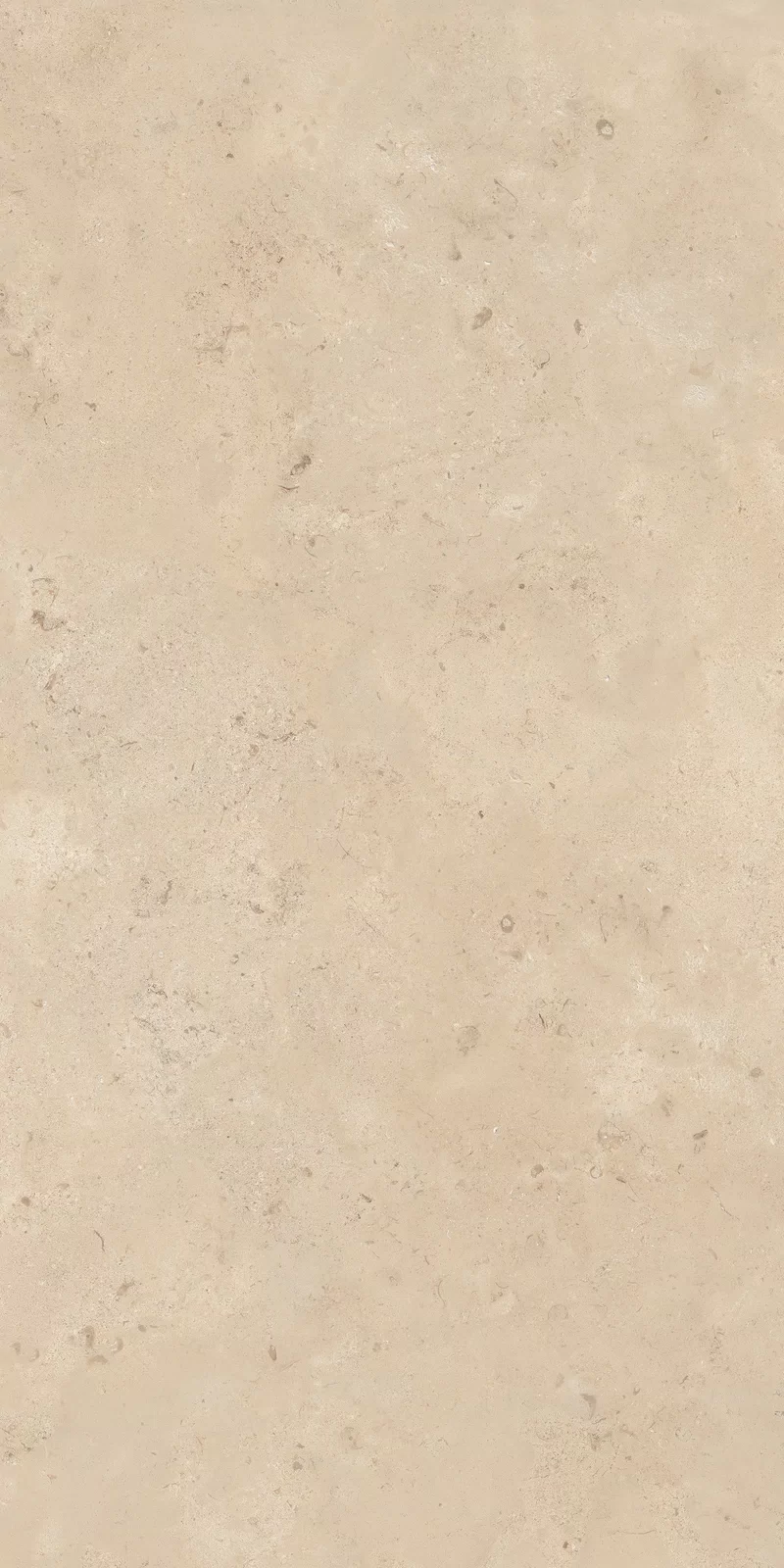 OUT.20 CAMARGUE BEIGE 60X120_10