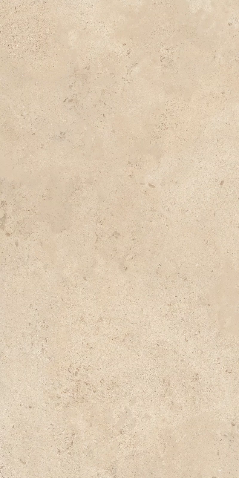 X20 CAMARGUE BEIGE 60X120_15
