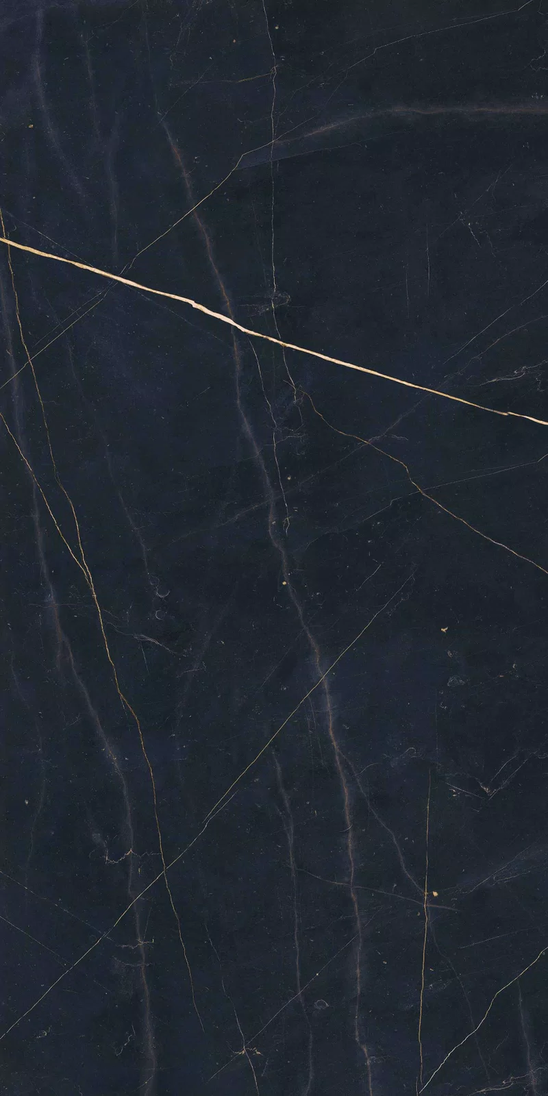 NOBILE PORT NOIR 60X120_09