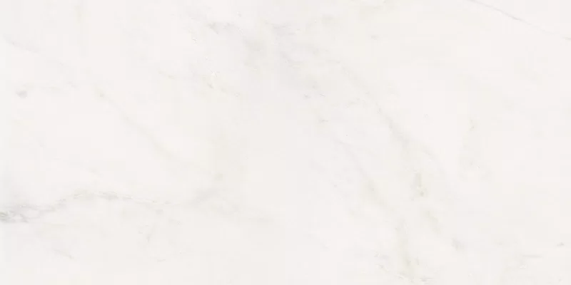 SENSI WHITE RHINO 60X120_03