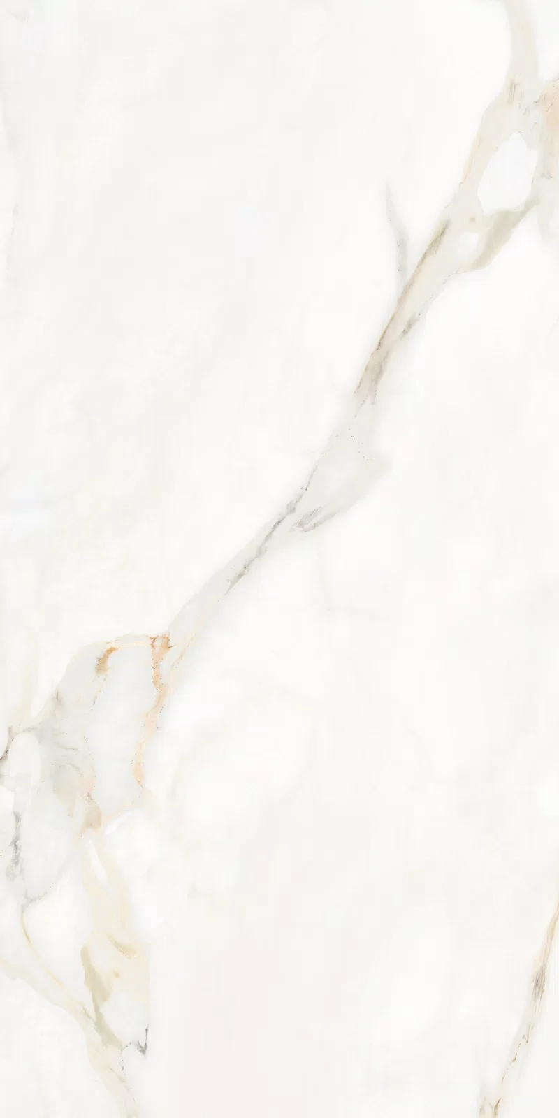 LA MARMOTECA_CALACATTA ELEGANCE_60X120_7