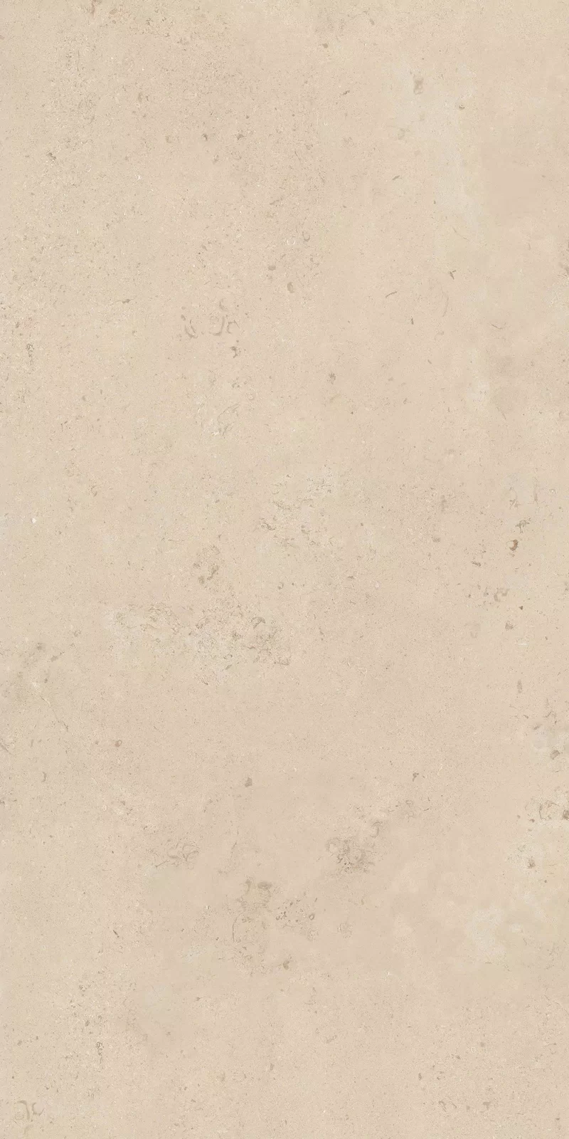 MEMENTO CAMARGUE BEIGE 60X120_05