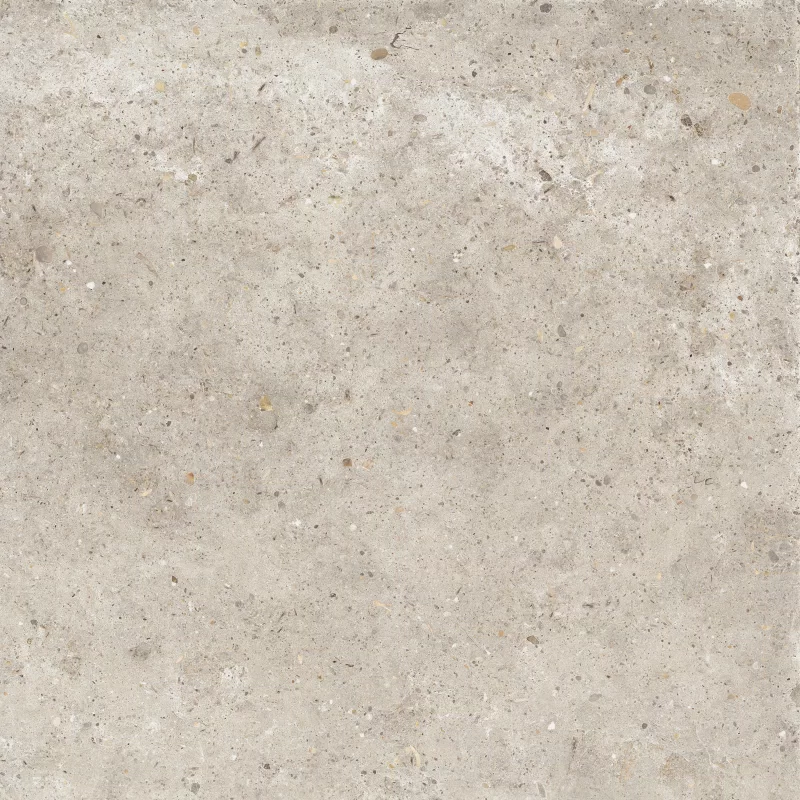 ANIMA BEIGE 60X60_02