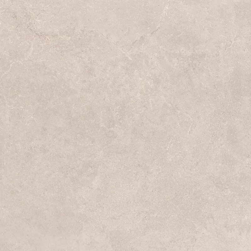 MIDI NATURE POUDRE 60x60_19