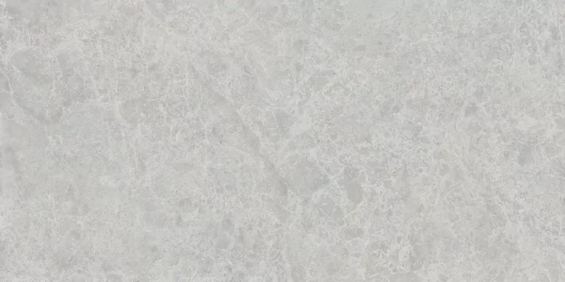 ERA DELICATE ASH 60X120_09