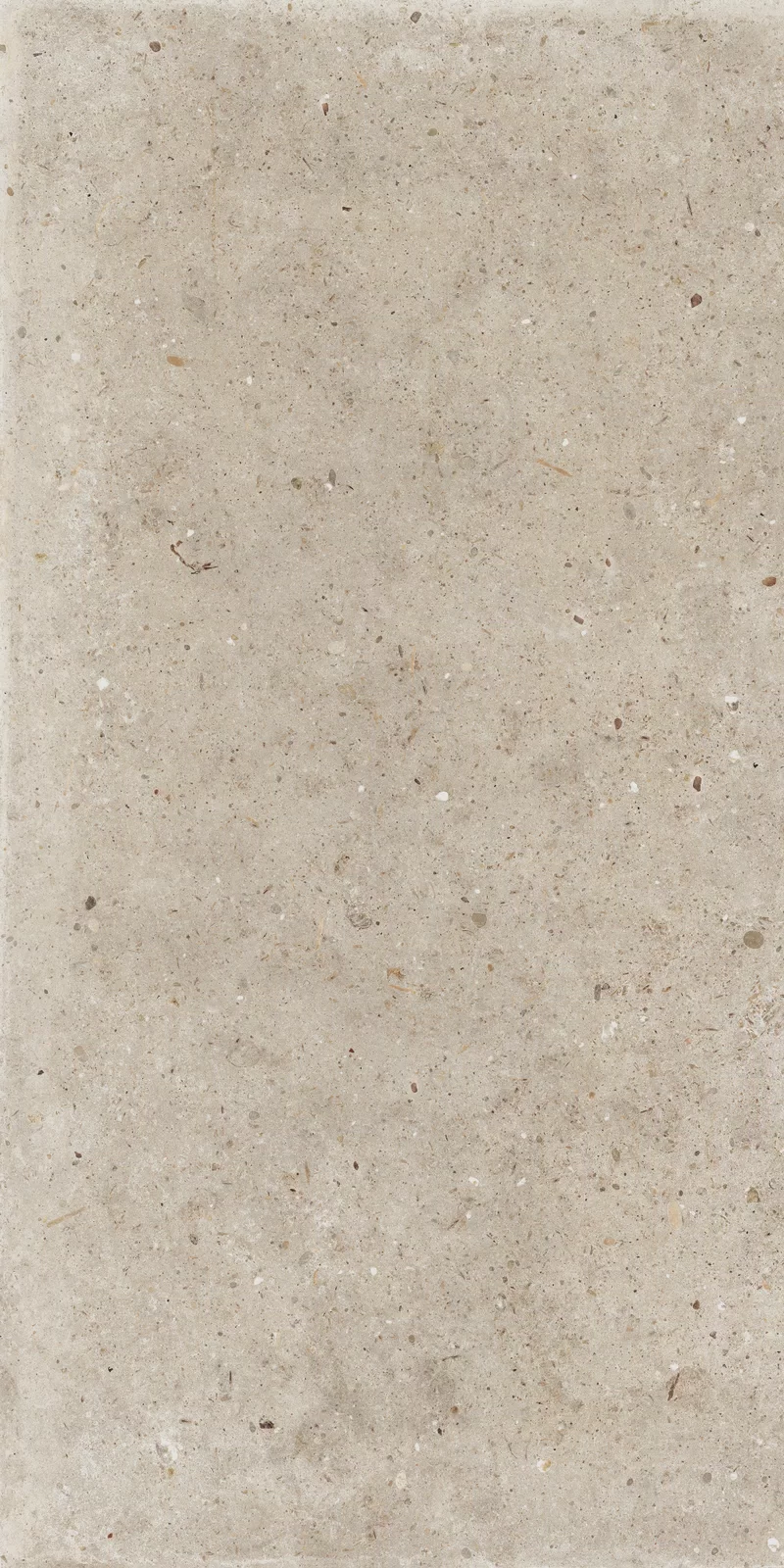 X20 ANIMA BEIGE 60x120_02
