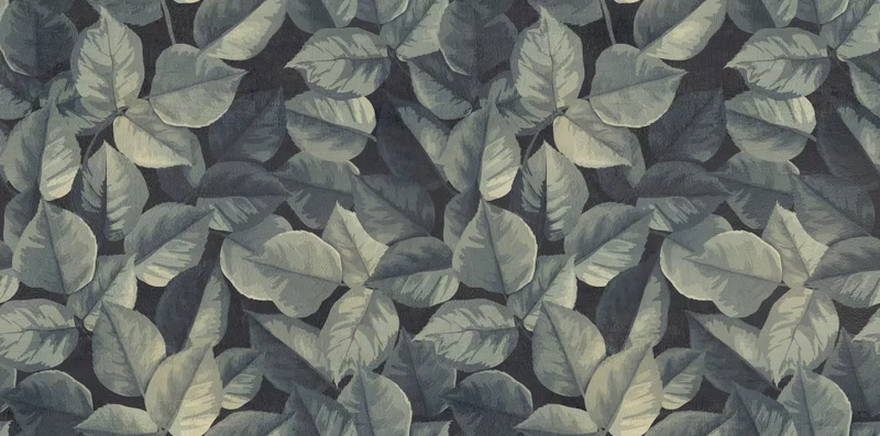 60X120 · Naturale