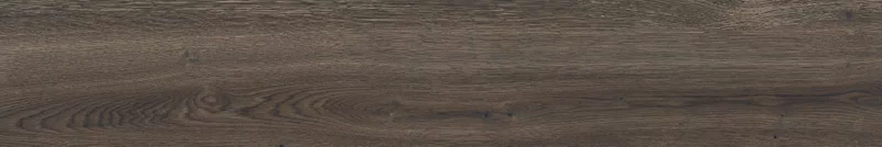 POETRY WOOD MUD 20X120_24
