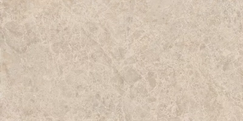 ERA DELICATE TAUPE 60X120_09
