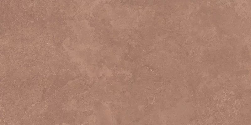 MIDI NATURE TERRE 60X120_11
