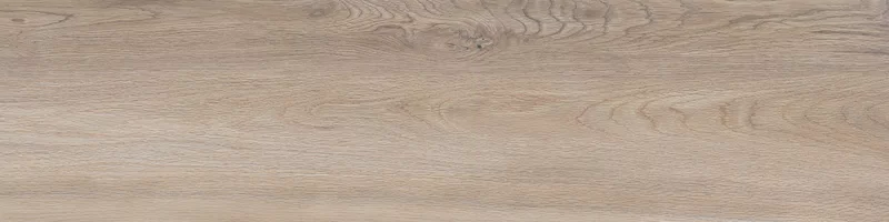 FOUR SEASONS BISCUIT 30X120_11