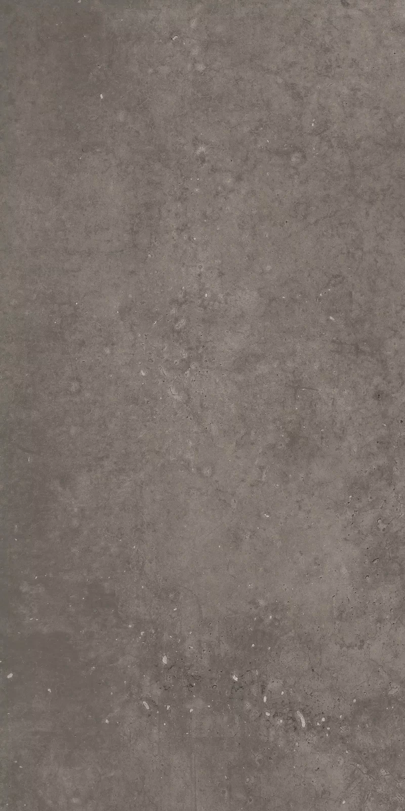 X20 HYPER TAUPE 60X120_02