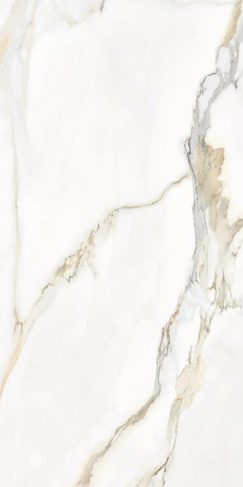 MARMOTECA_CALACATTA ELEGANCE_60X120_8