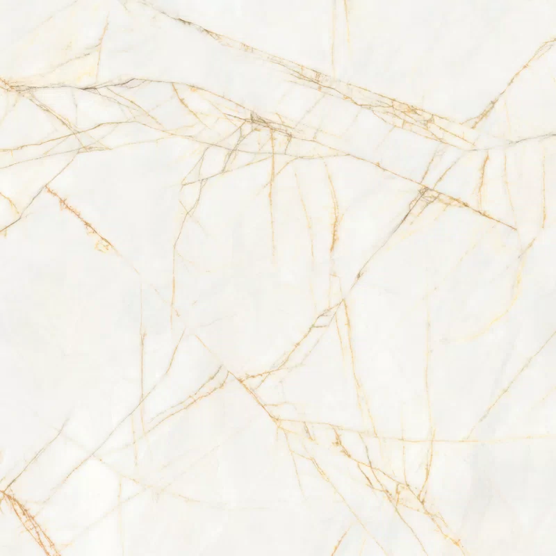 SUPREME HEDONISM GOLDEN SPIDER 120X120_04