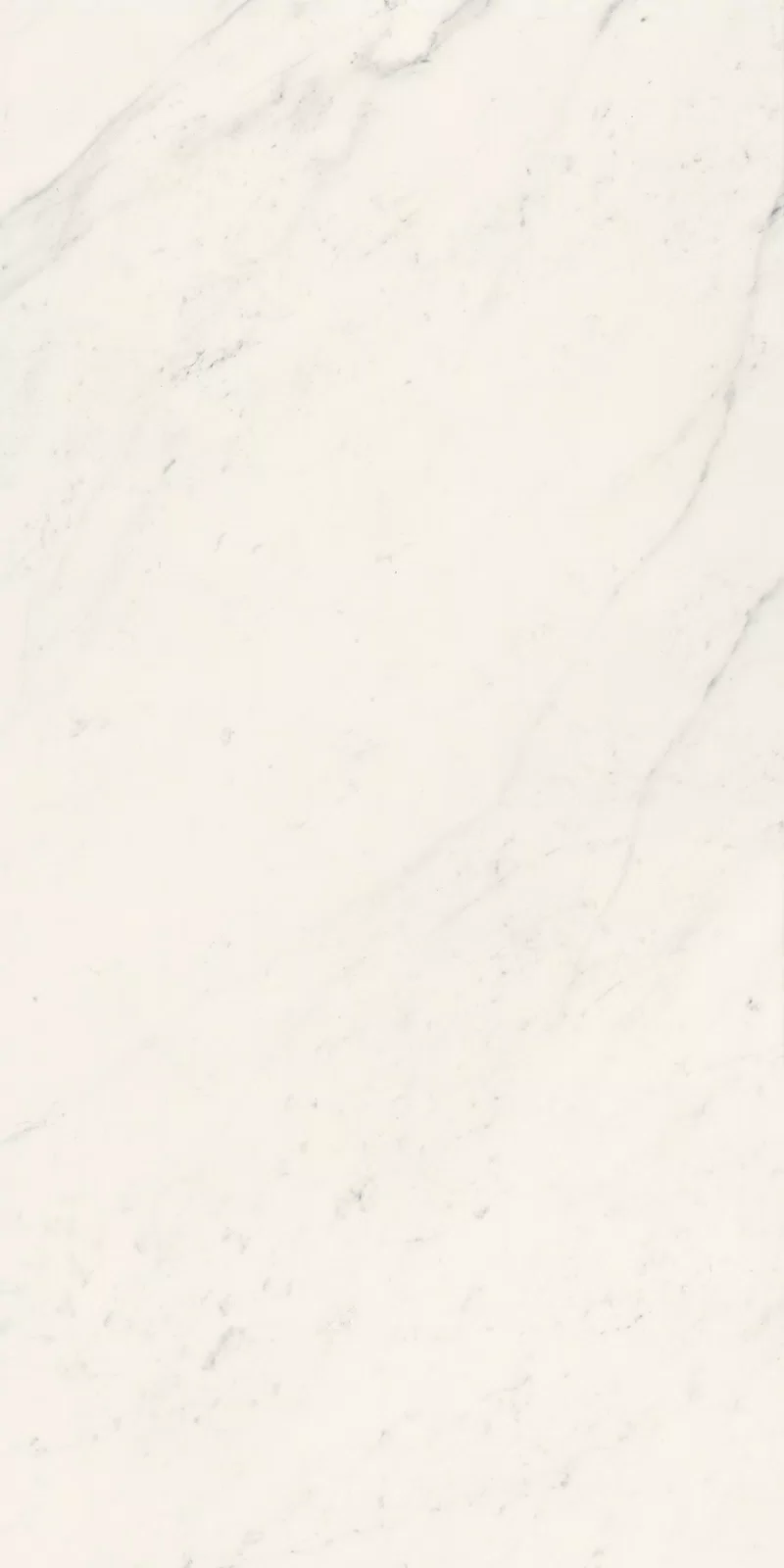 LA MARMOTECA_SAHARA WHITE_60X120_3