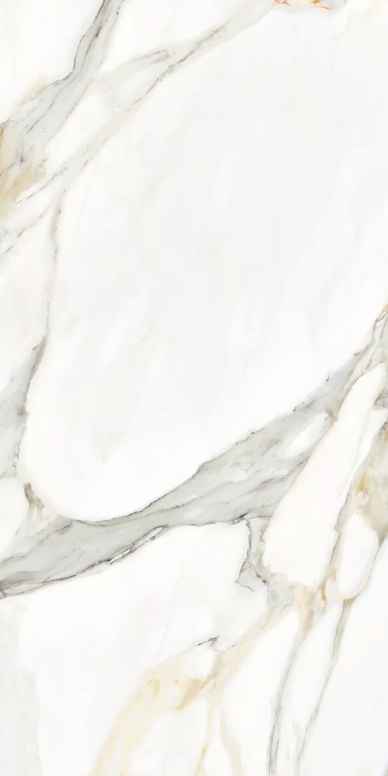 MARMOTECA_CALACATTA ELEGANCE_60X120_15