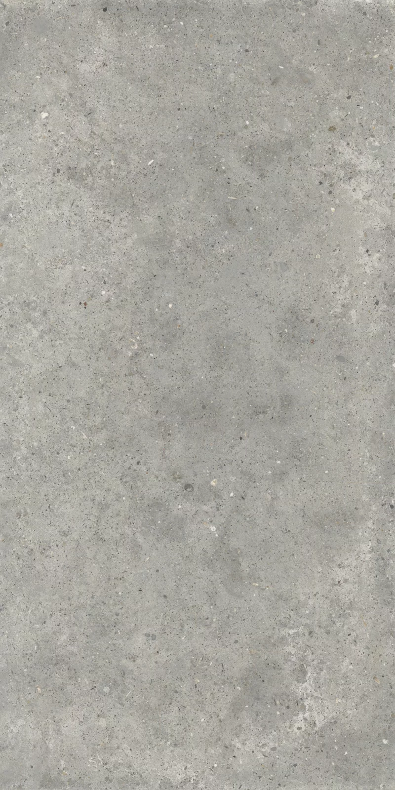 ANIMA GRIGIO 60X120_12