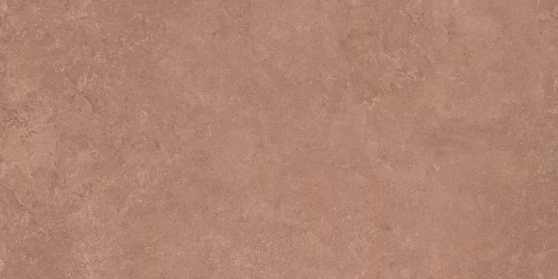 MIDI NATURE TERRE 60X120_03