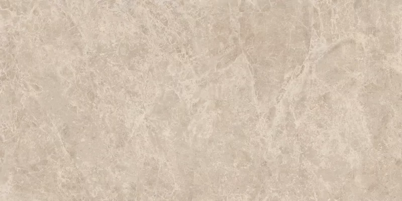 ERA DELICATE TAUPE 60X120_15