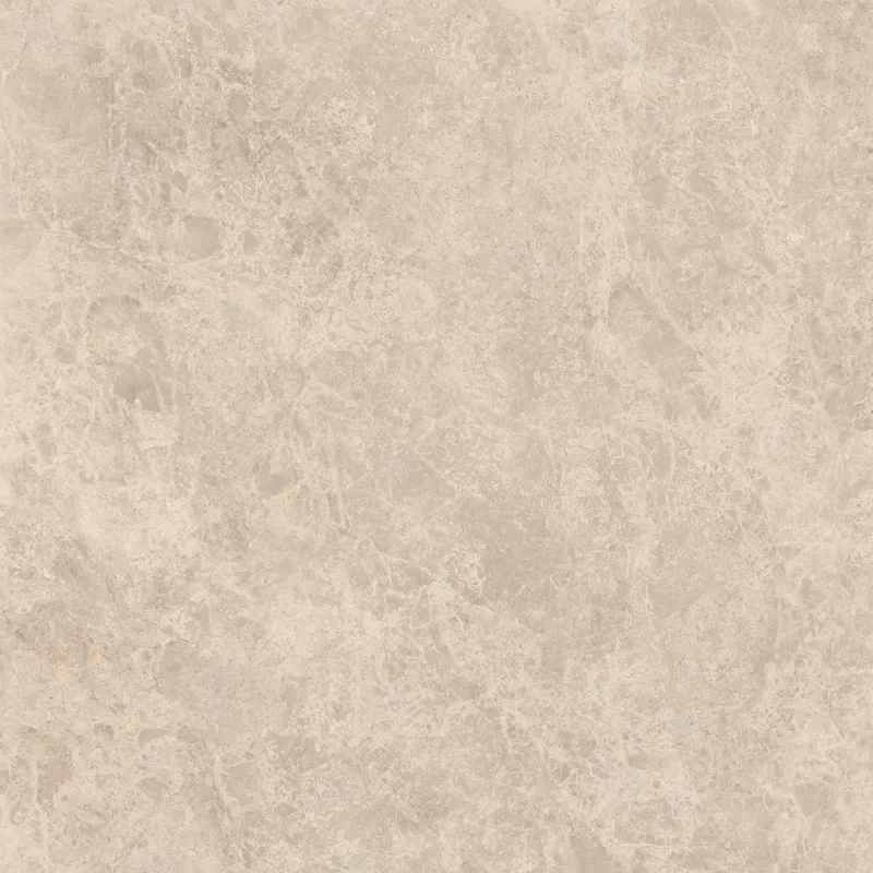 ERA DELICATE TAUPE 120X120_07