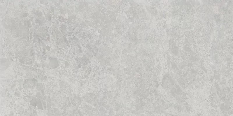 ERA DELICATE ASH 60X120_14