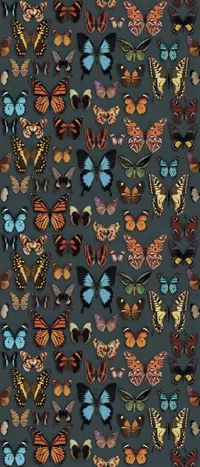 Piastrella Wide&Style On Demand Papillon di ABK, finitura Naturale, 120x280, spessore 6 mm.