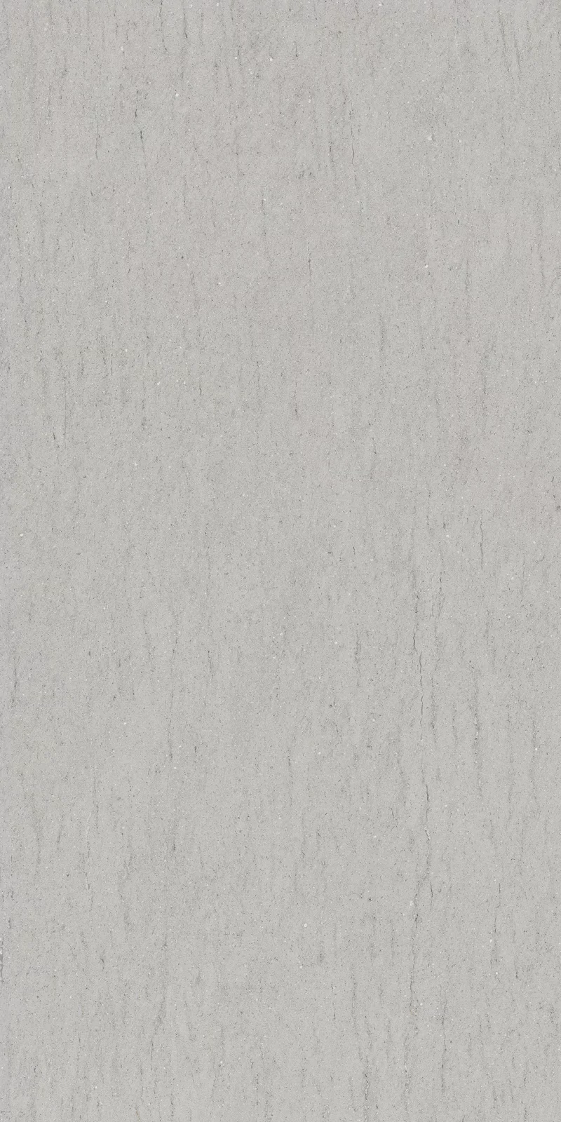 OUT.20 POETRY STONE RELOADED BASALTINA SILVER 60x120_04